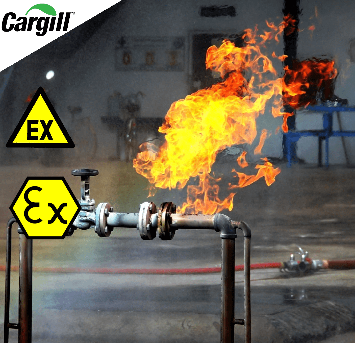 Cargill