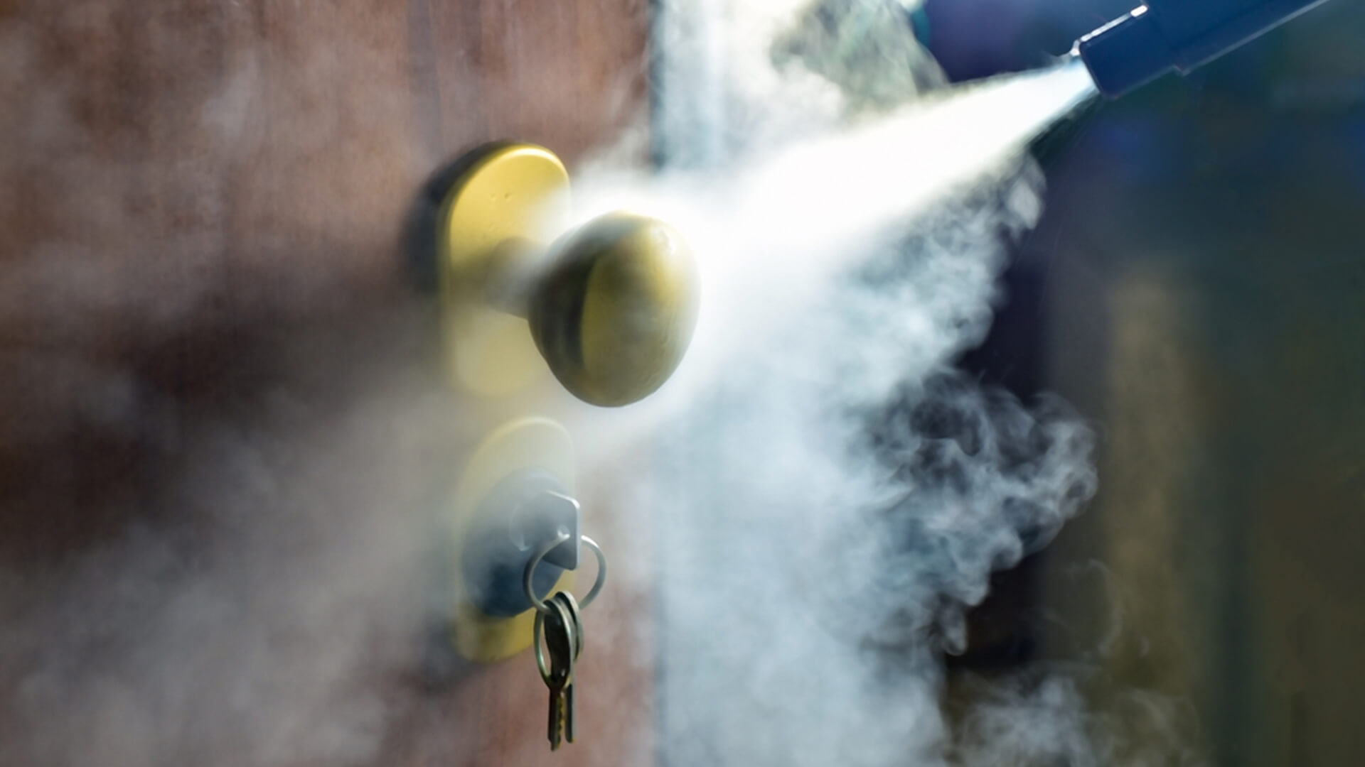 Fumigación y desinfección
